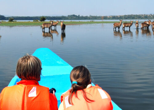 Lake Naivasha Day Trip