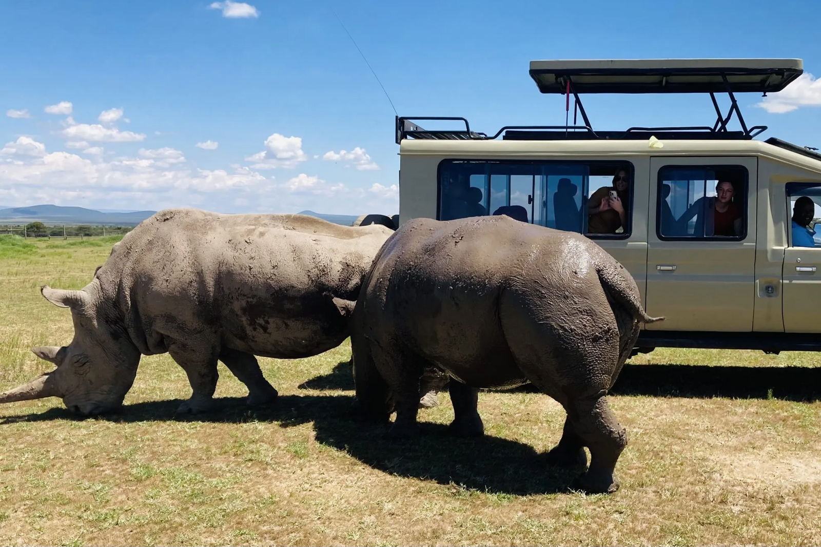 OL Pejeta Day Trip