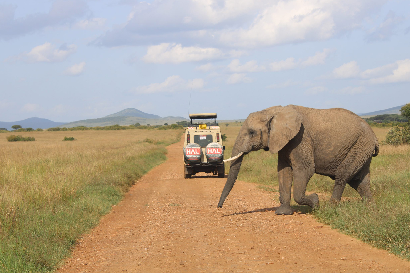 Amboseli Day Trip