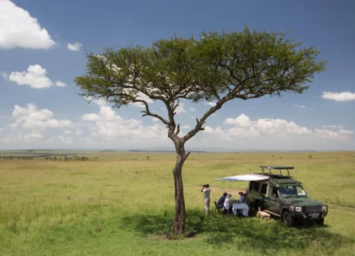 Incredible Fusion of Kenyan Safari Adventures – Maasai Mara | Lake Nakuru | Lake Naivasha | Amboseli