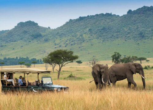 Masai Mara Epic Adventure