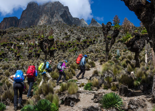 Climbing Mount Kenya Safari-An Adventure Trek to the Summit of Mount Kenya