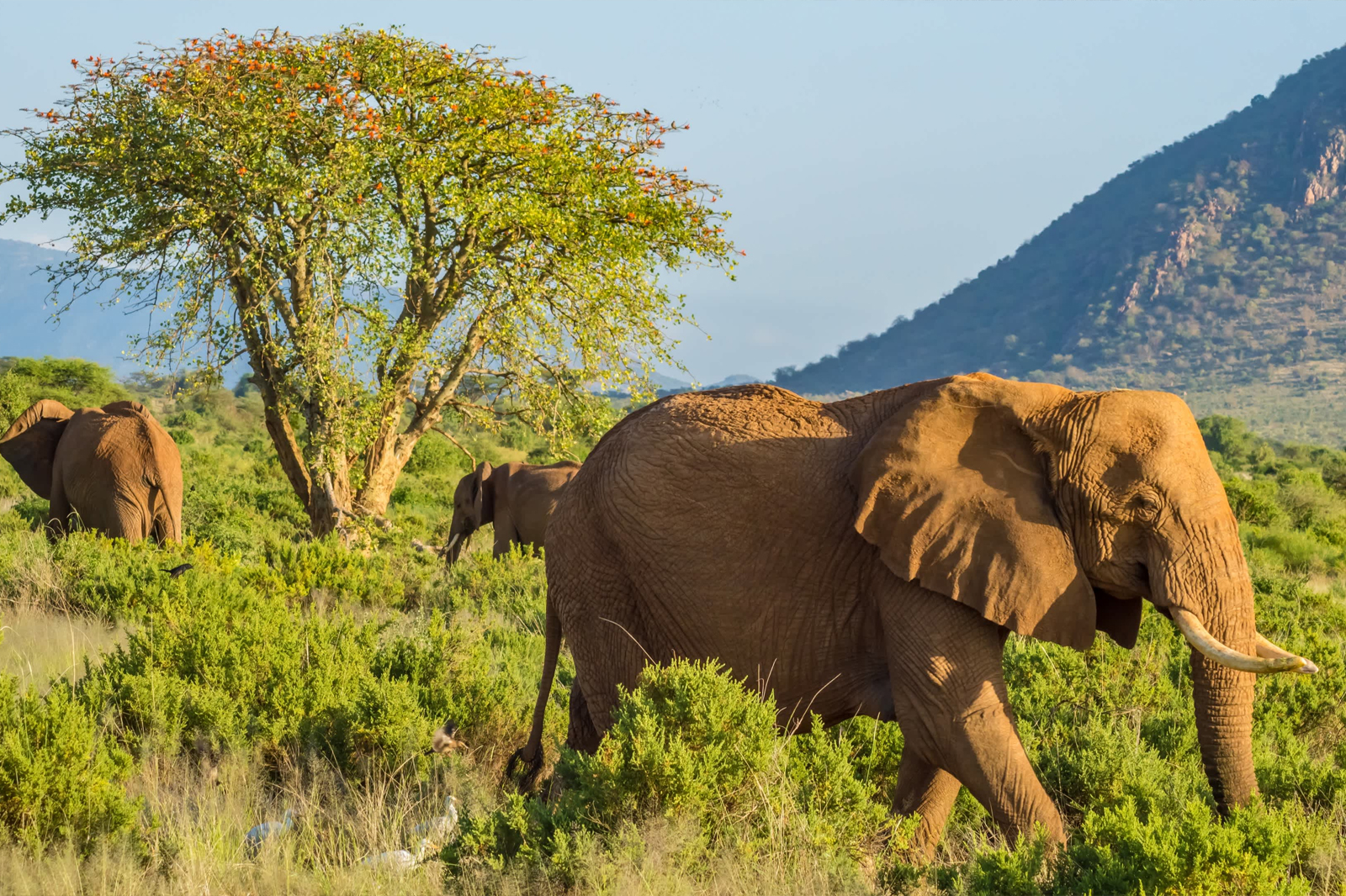 3 Days Samburu National Park Safari