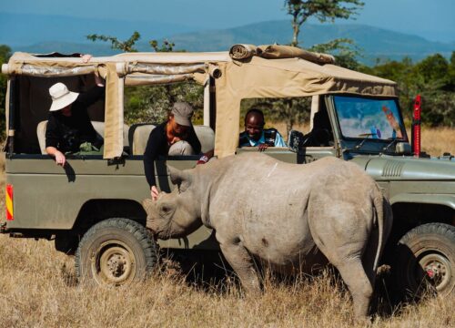 African Safari Luxury Package – Ol Pejeta | Masai Mara | Amboseli