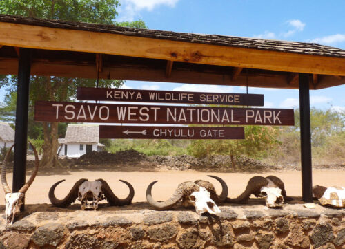 Southern Kenya Safari Adventure (Amboseli & Tsavo West Safari)