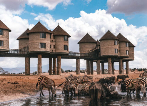 Taita Hills Wildlife Sanctuary Safari