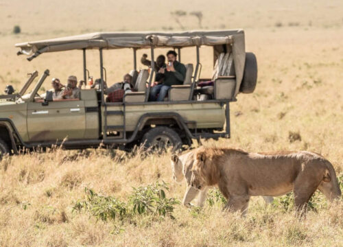 4 Days Best Of Masai Mara